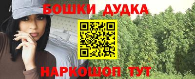 шишки Лесосибирск
