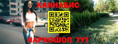 шишки Лесосибирск