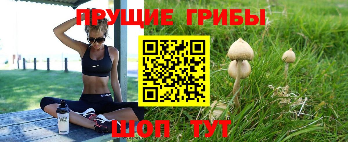 Ярославль  Псилоцибиновые грибы мицелий  купить  сайты  Вход с VPN 